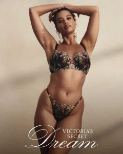 VS Dream