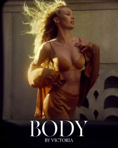 VS Body